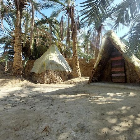 Forest Camp Siwa - كامب الغابة Siwa Oasis Exterior photo