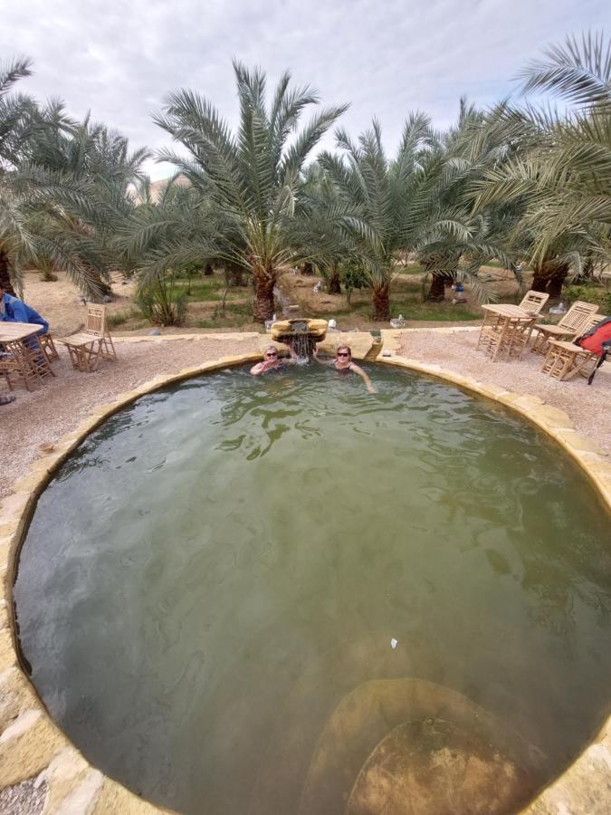 Forest Camp Siwa - كامب الغابة Siwa Oasis Exterior photo