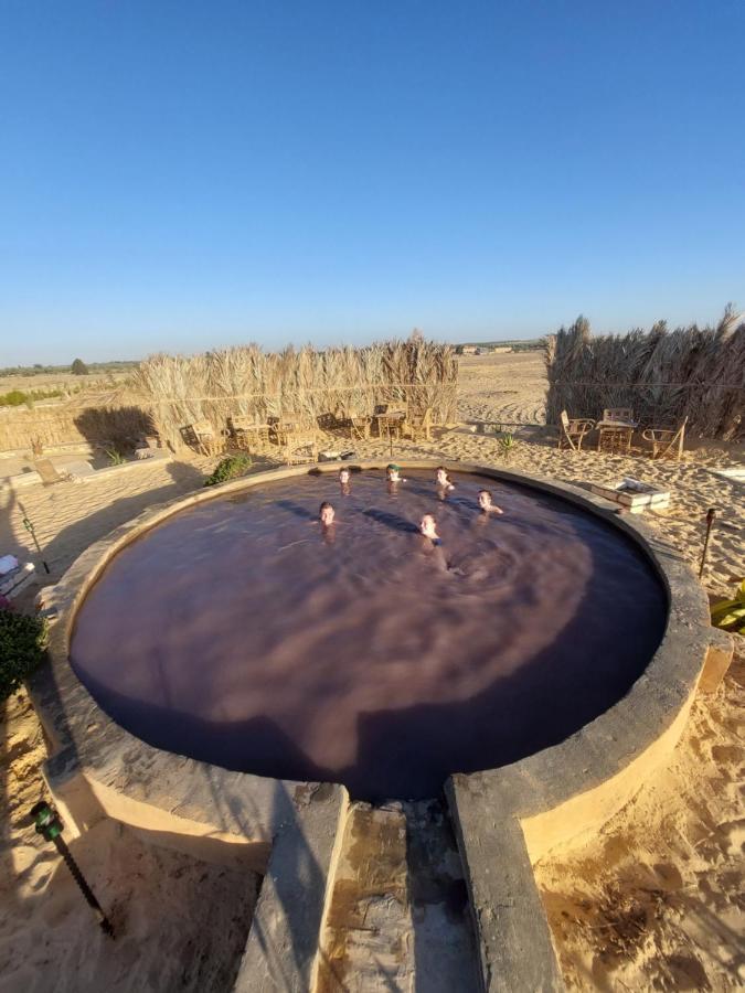 Forest Camp Siwa - كامب الغابة Siwa Oasis Exterior photo