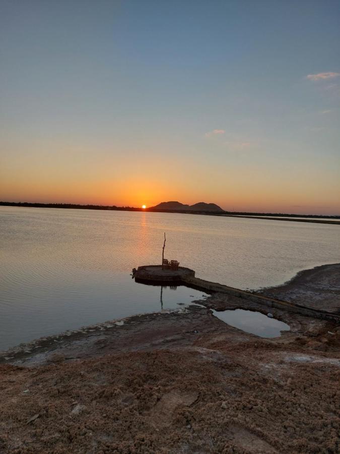 Forest Camp Siwa - كامب الغابة Siwa Oasis Exterior photo