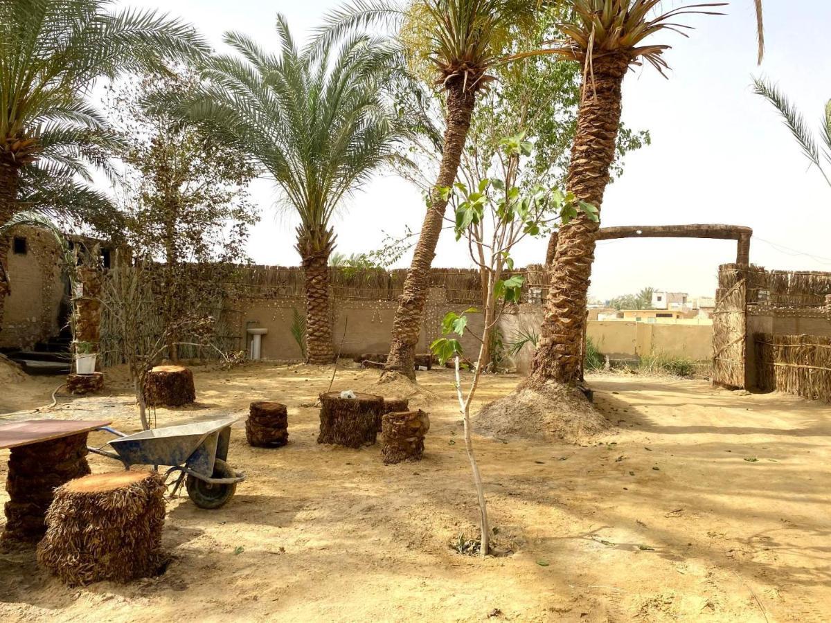 Forest Camp Siwa - كامب الغابة Siwa Oasis Exterior photo