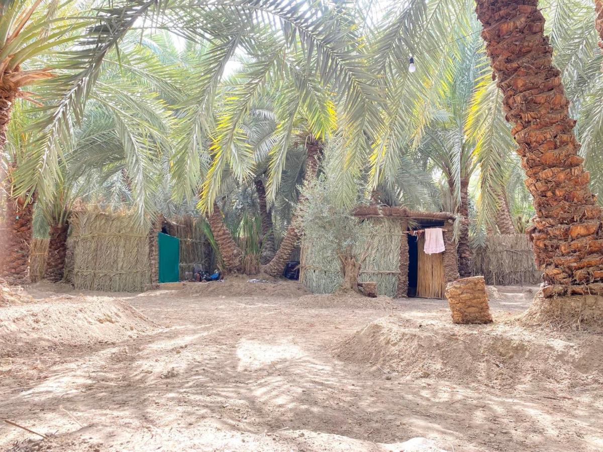 Forest Camp Siwa - كامب الغابة Siwa Oasis Exterior photo