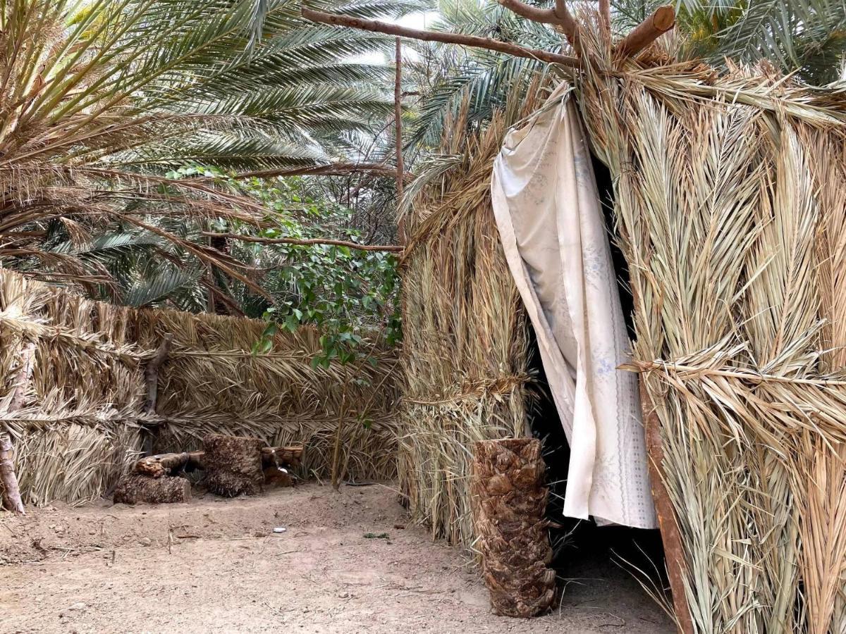 Forest Camp Siwa - كامب الغابة Siwa Oasis Exterior photo