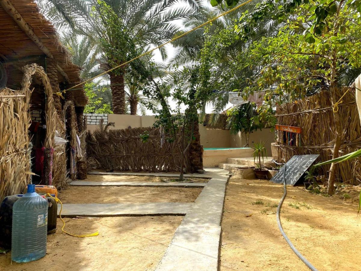 Forest Camp Siwa - كامب الغابة Siwa Oasis Exterior photo