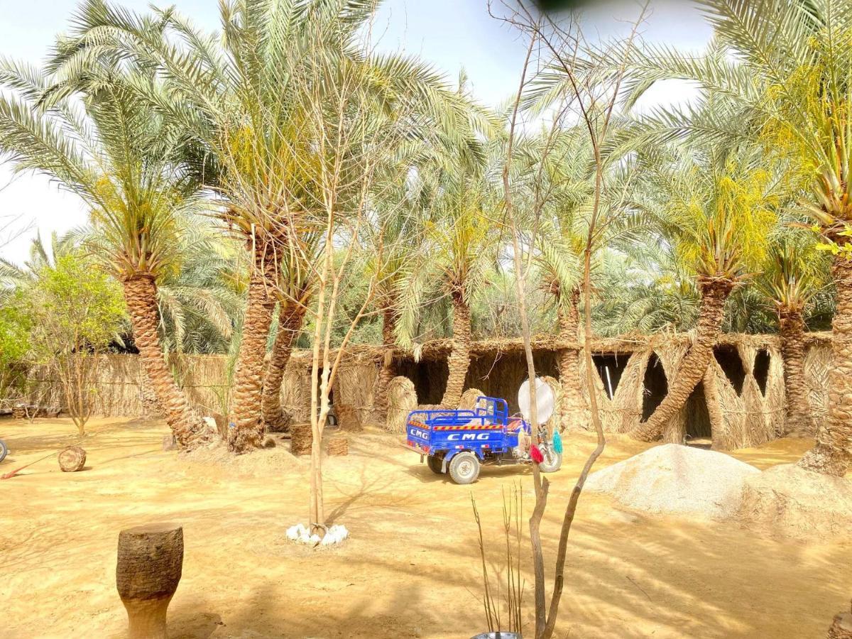 Forest Camp Siwa - كامب الغابة Siwa Oasis Exterior photo