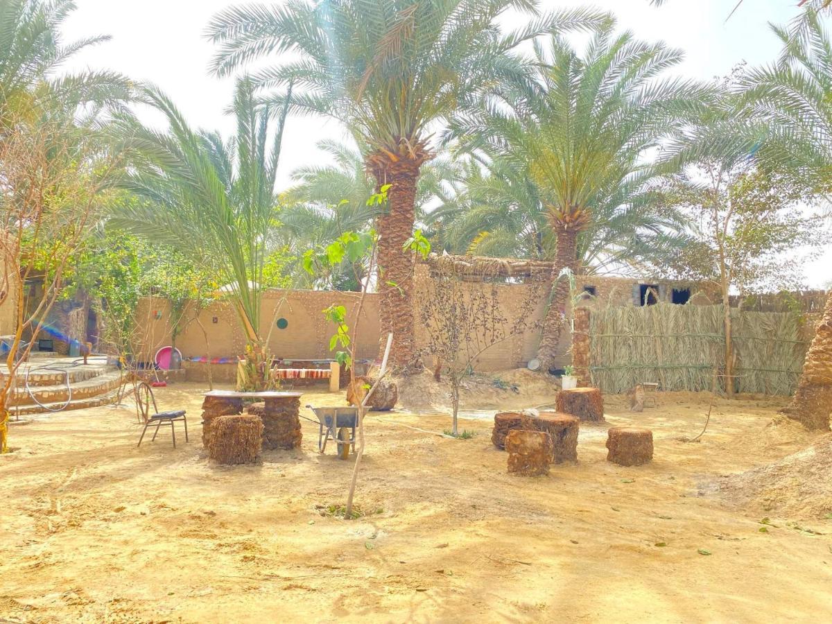 Forest Camp Siwa - كامب الغابة Siwa Oasis Exterior photo