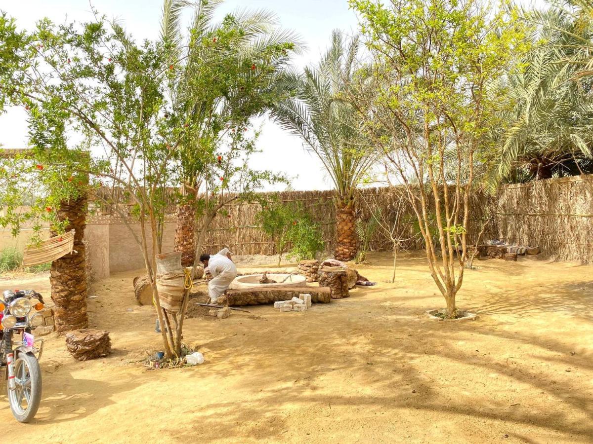 Forest Camp Siwa - كامب الغابة Siwa Oasis Exterior photo