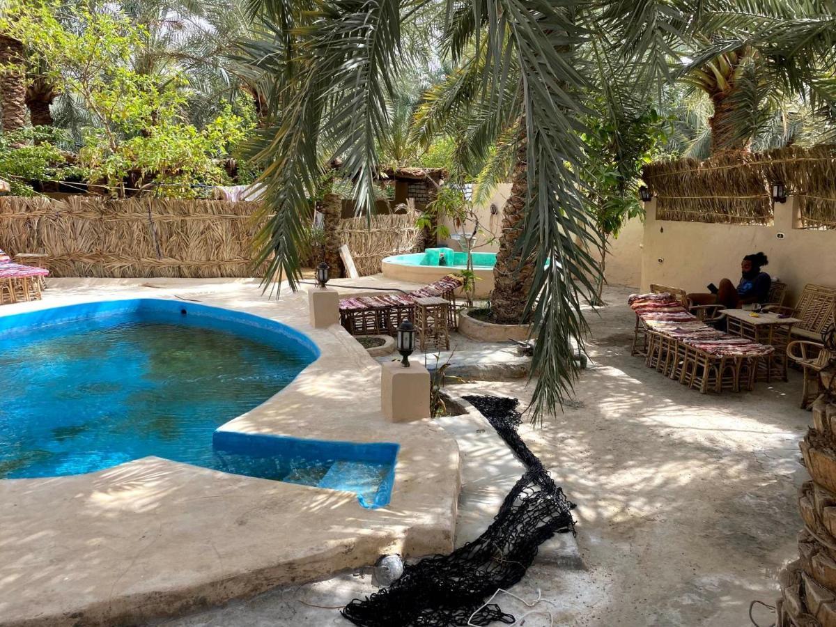 Forest Camp Siwa - كامب الغابة Siwa Oasis Exterior photo