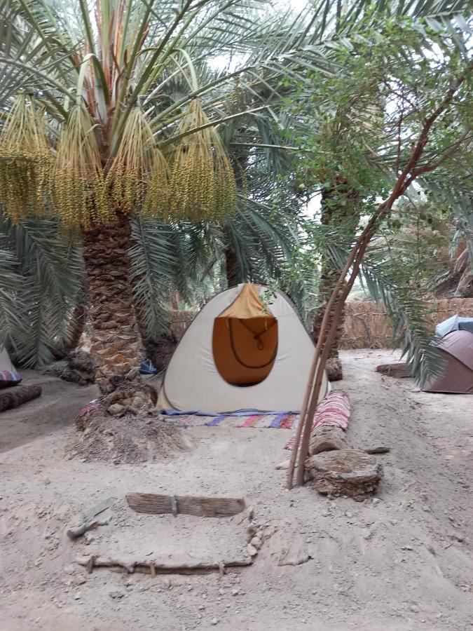 Forest Camp Siwa - كامب الغابة Siwa Oasis Exterior photo