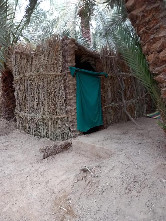 Forest Camp Siwa - كامب الغابة Siwa Oasis Exterior photo