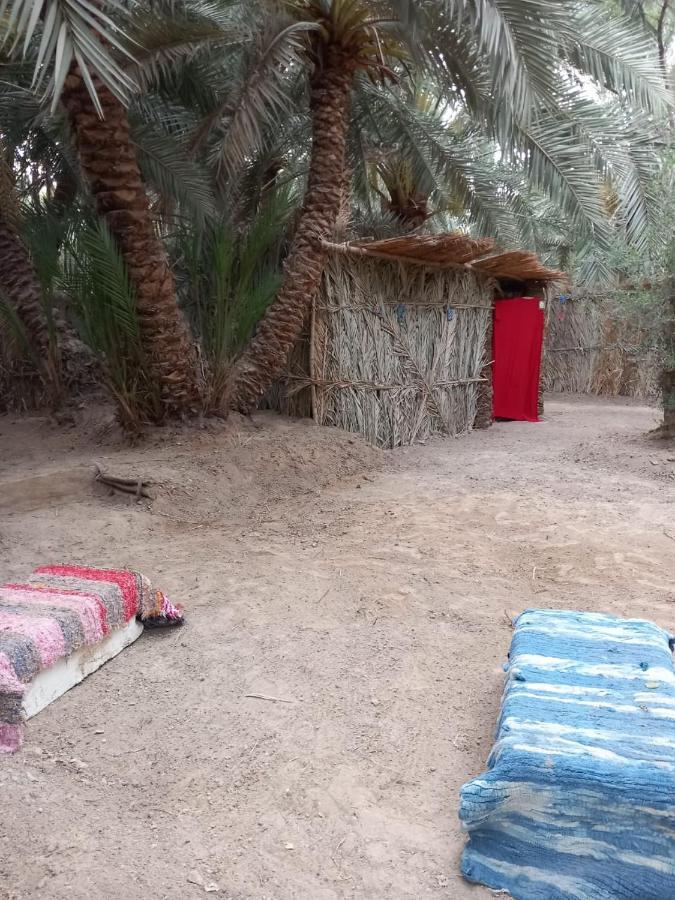 Forest Camp Siwa - كامب الغابة Siwa Oasis Exterior photo