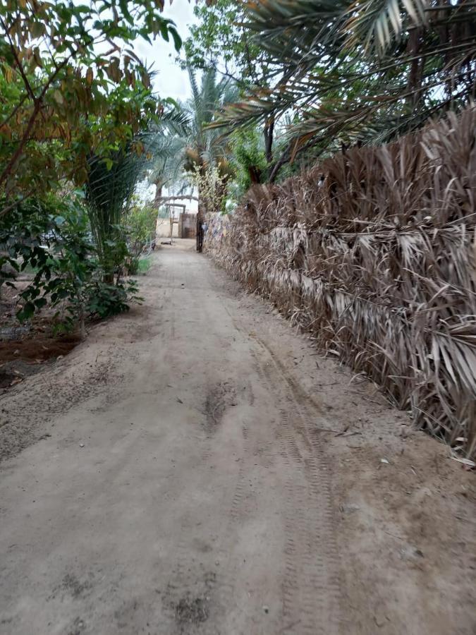 Forest Camp Siwa - كامب الغابة Siwa Oasis Exterior photo