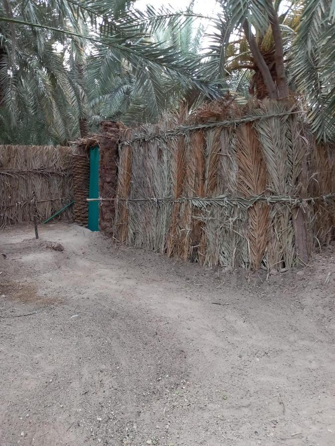 Forest Camp Siwa - كامب الغابة Siwa Oasis Exterior photo