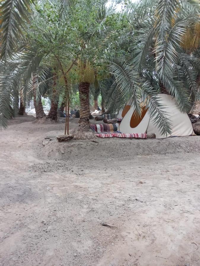 Forest Camp Siwa - كامب الغابة Siwa Oasis Exterior photo