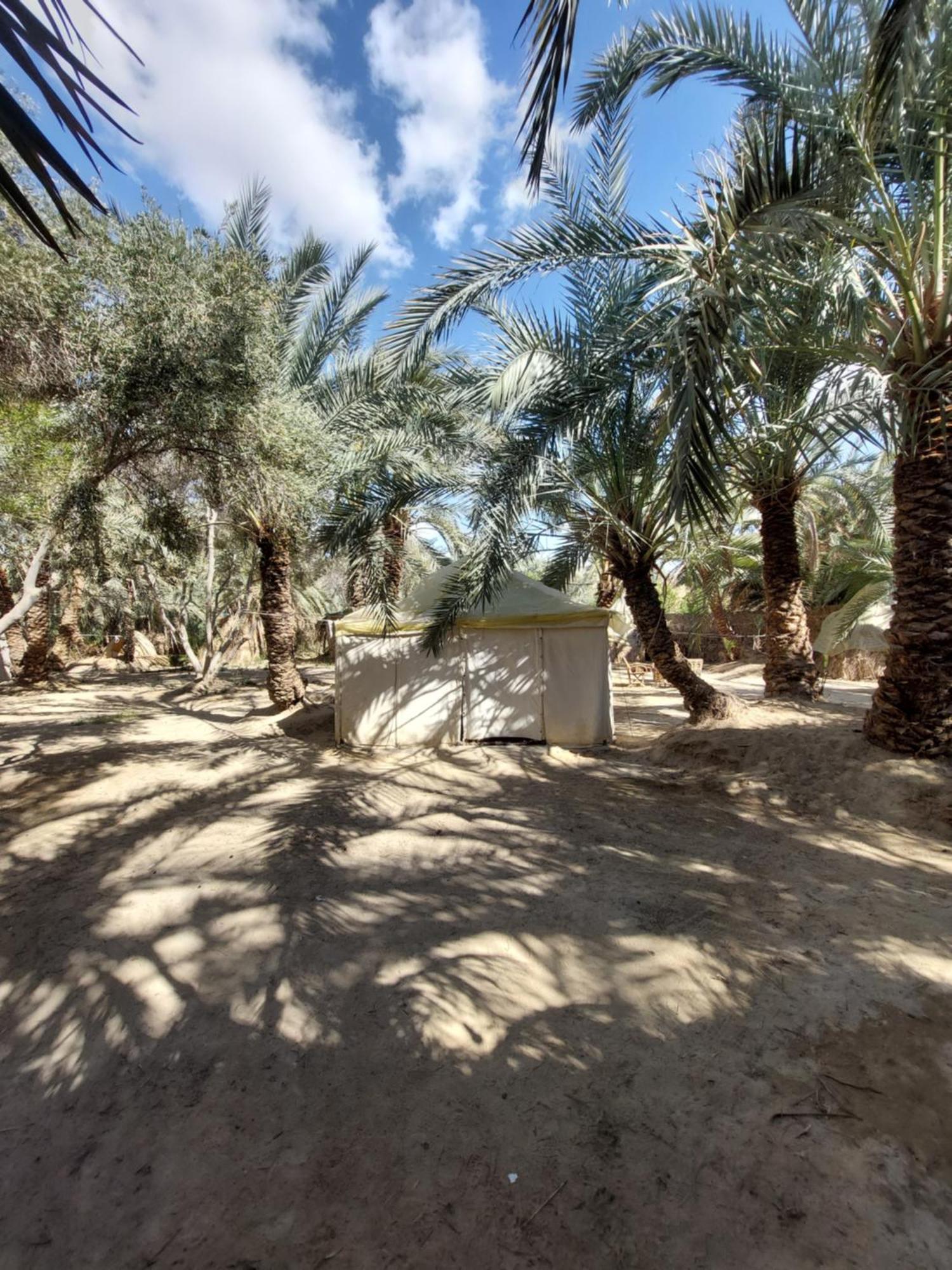 Forest Camp Siwa - كامب الغابة Siwa Oasis Exterior photo