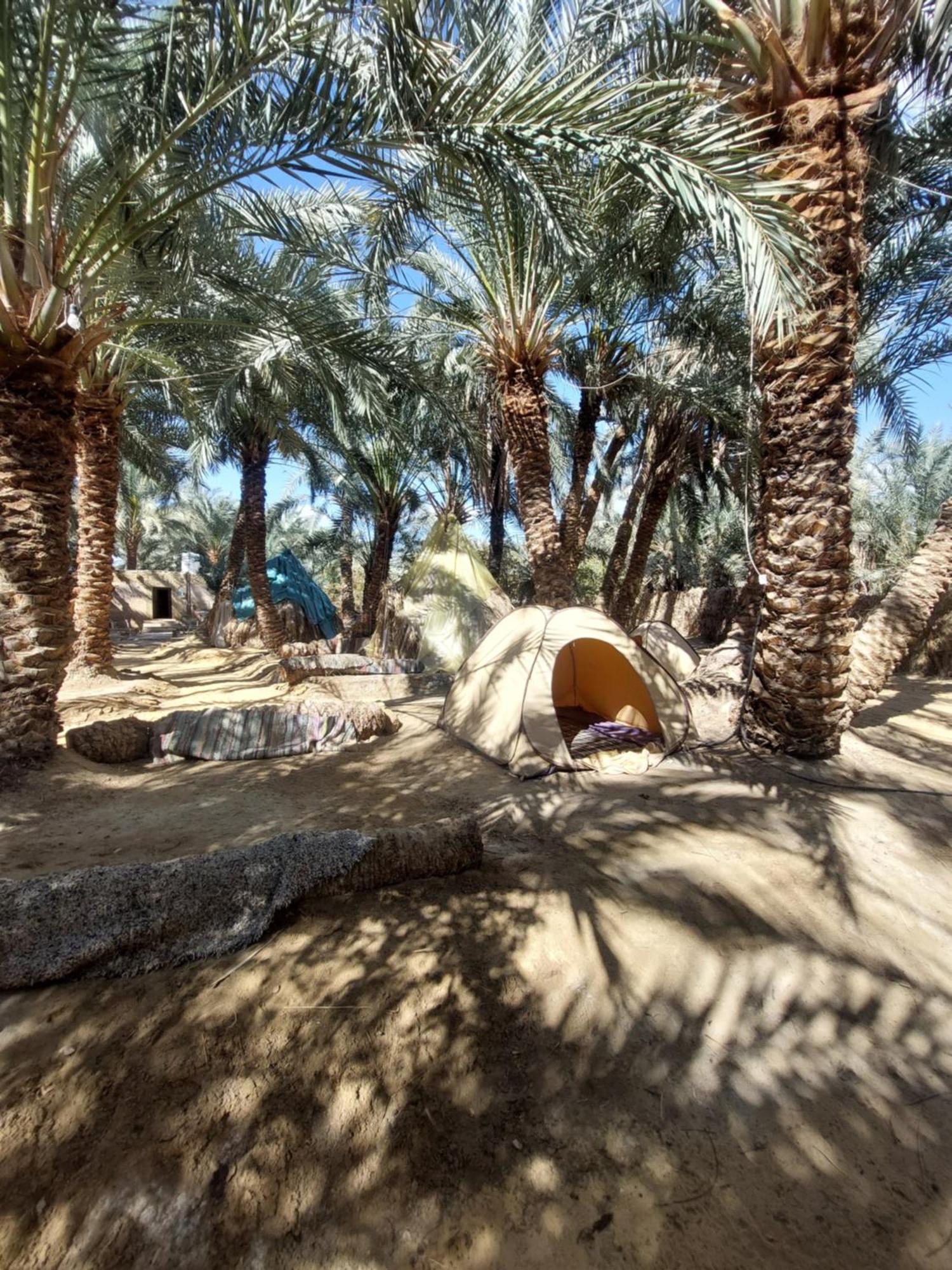 Forest Camp Siwa - كامب الغابة Siwa Oasis Exterior photo