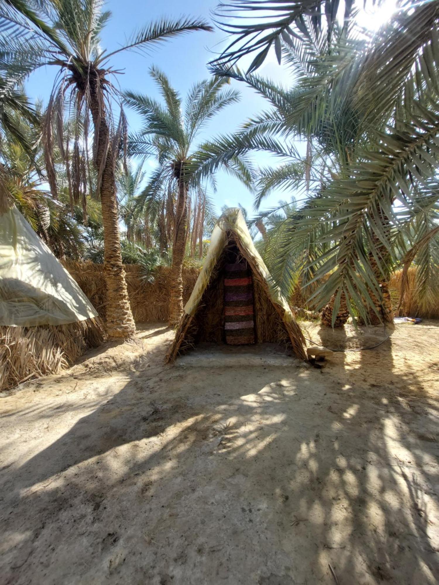 Forest Camp Siwa - كامب الغابة Siwa Oasis Exterior photo