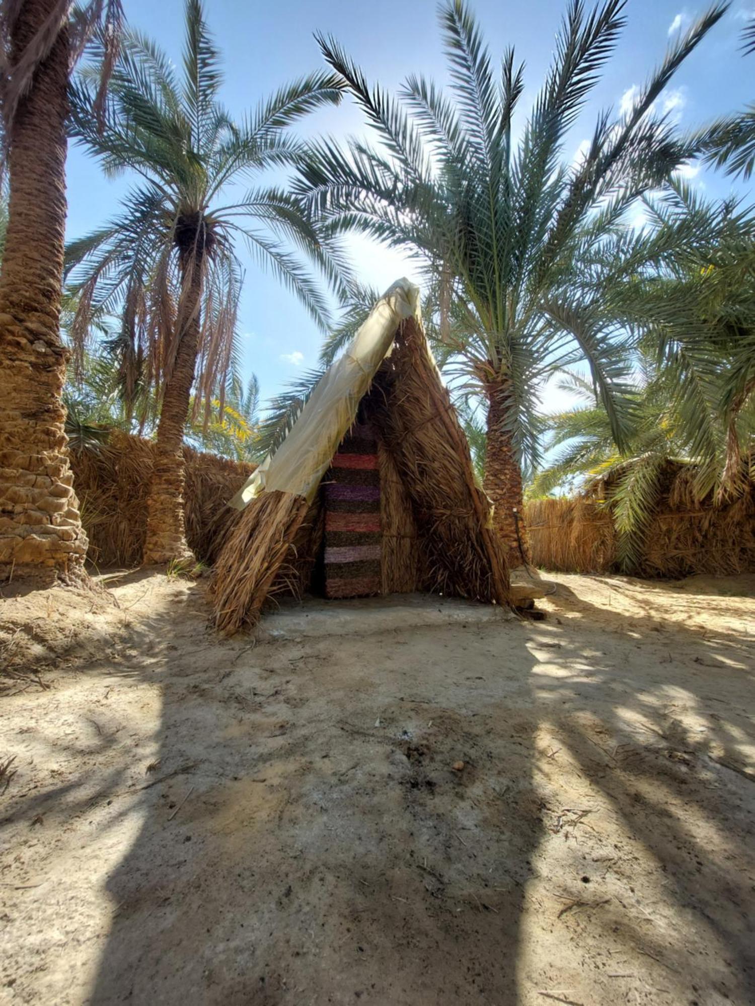 Forest Camp Siwa - كامب الغابة Siwa Oasis Exterior photo