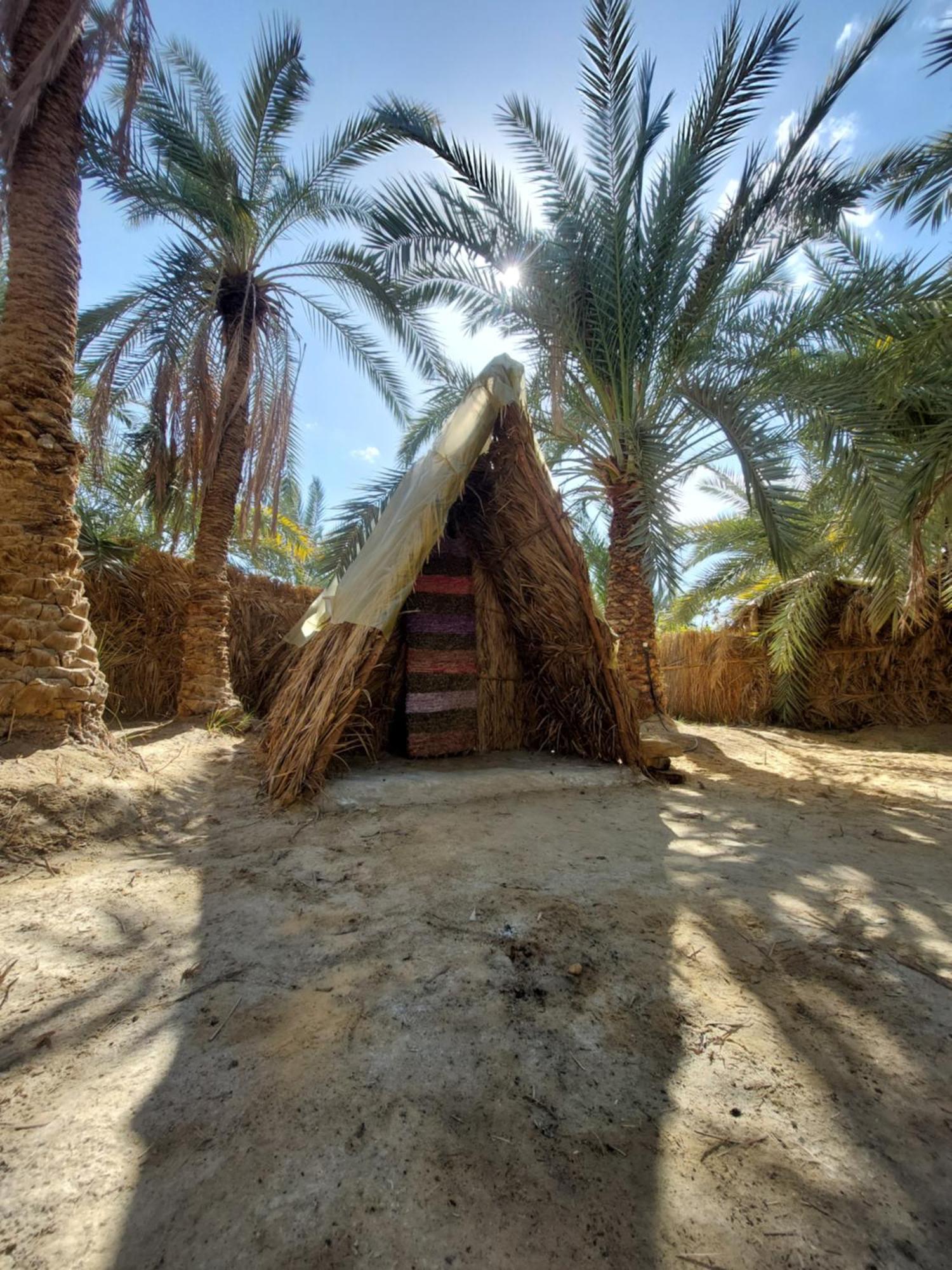 Forest Camp Siwa - كامب الغابة Siwa Oasis Exterior photo