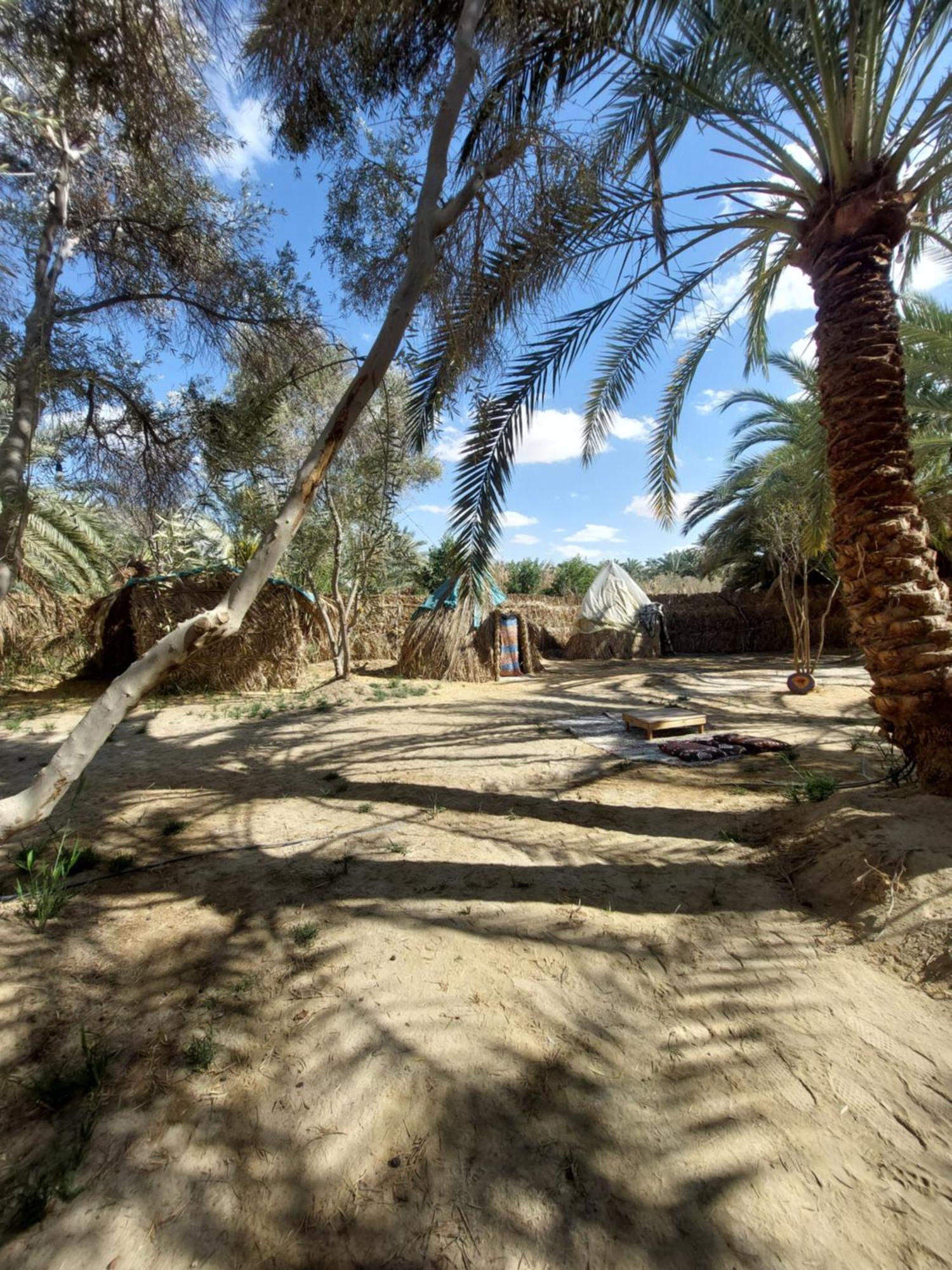 Forest Camp Siwa - كامب الغابة Siwa Oasis Exterior photo