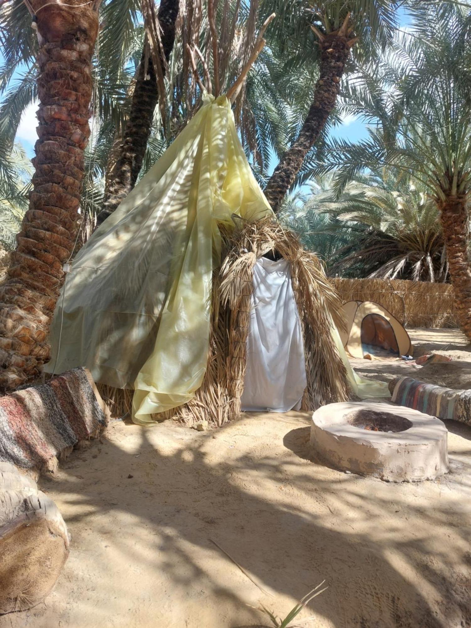 Forest Camp Siwa - كامب الغابة Siwa Oasis Exterior photo