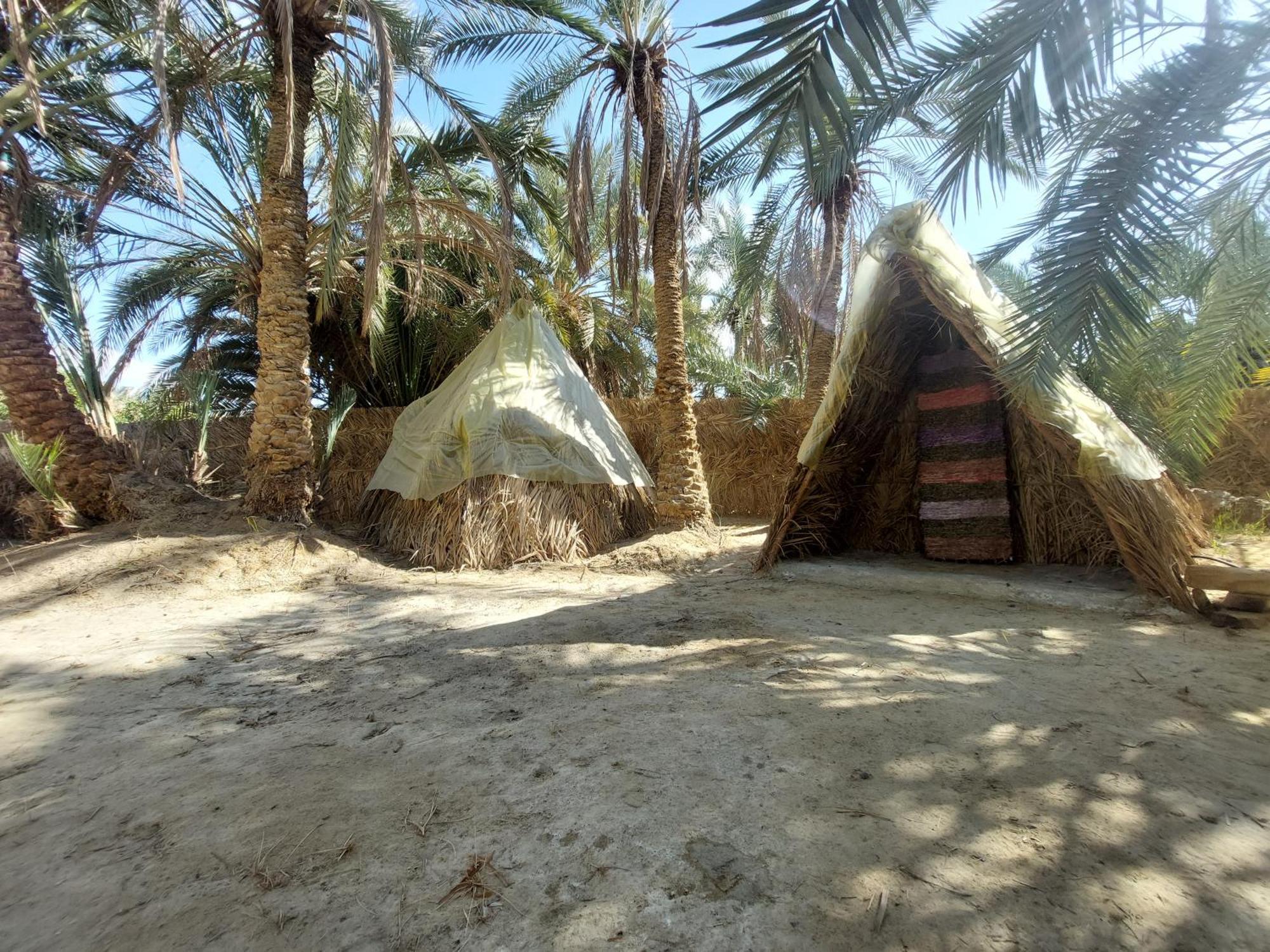 Forest Camp Siwa - كامب الغابة Siwa Oasis Exterior photo