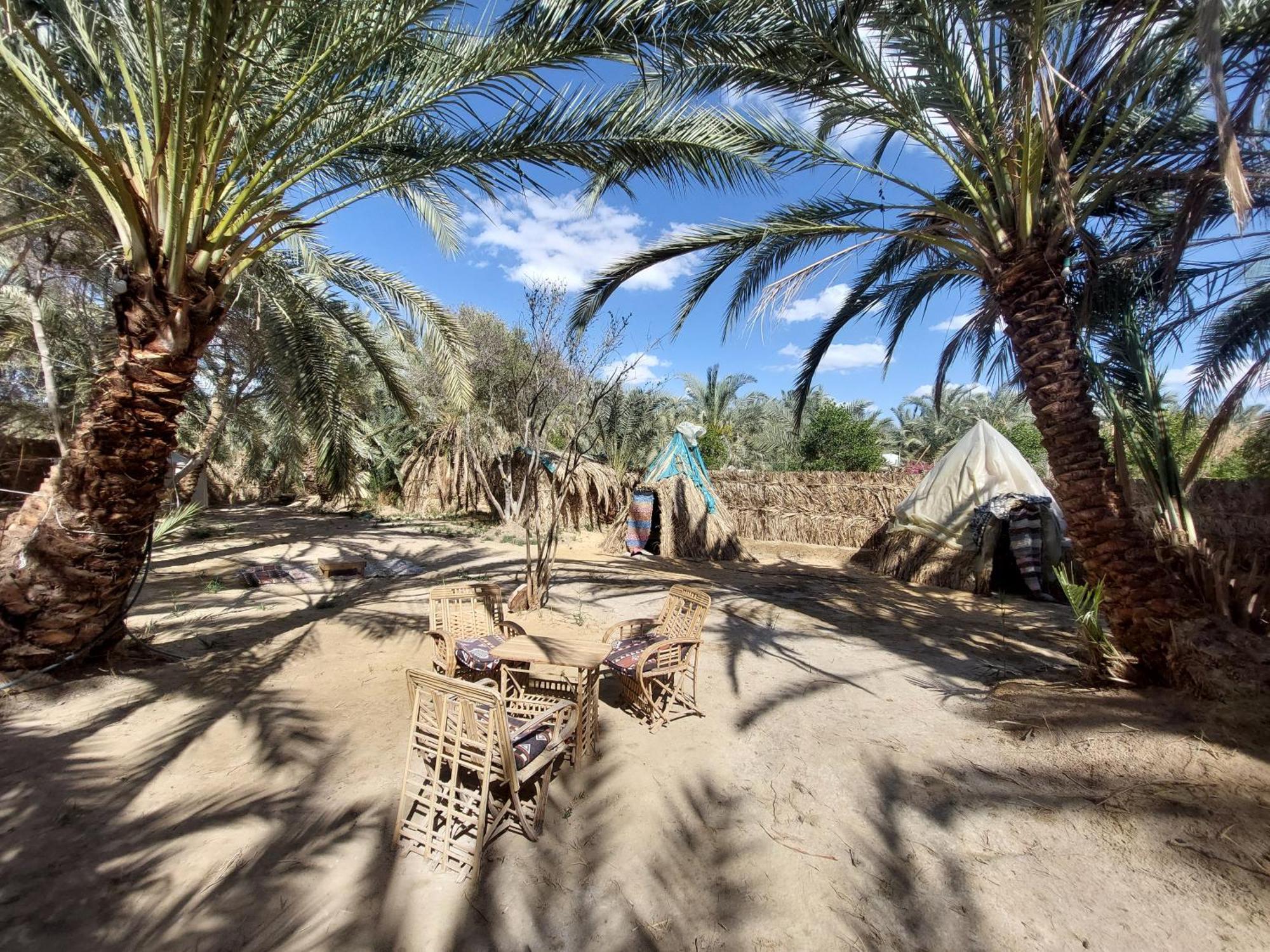 Forest Camp Siwa - كامب الغابة Siwa Oasis Exterior photo