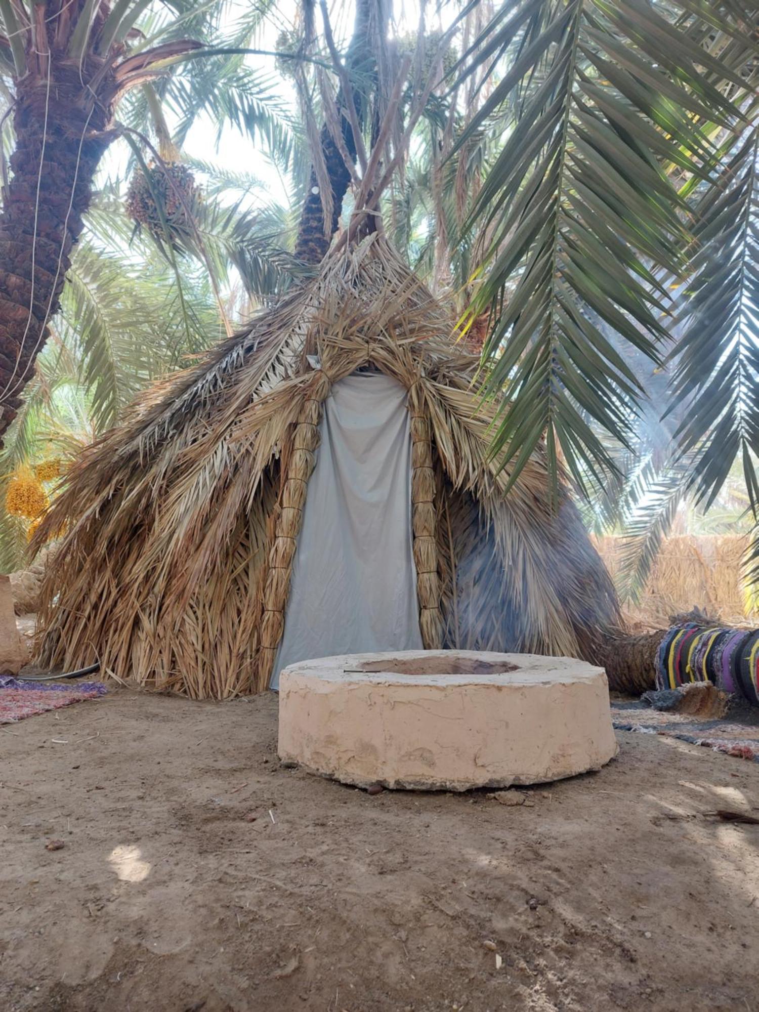 Forest Camp Siwa - كامب الغابة Siwa Oasis Exterior photo