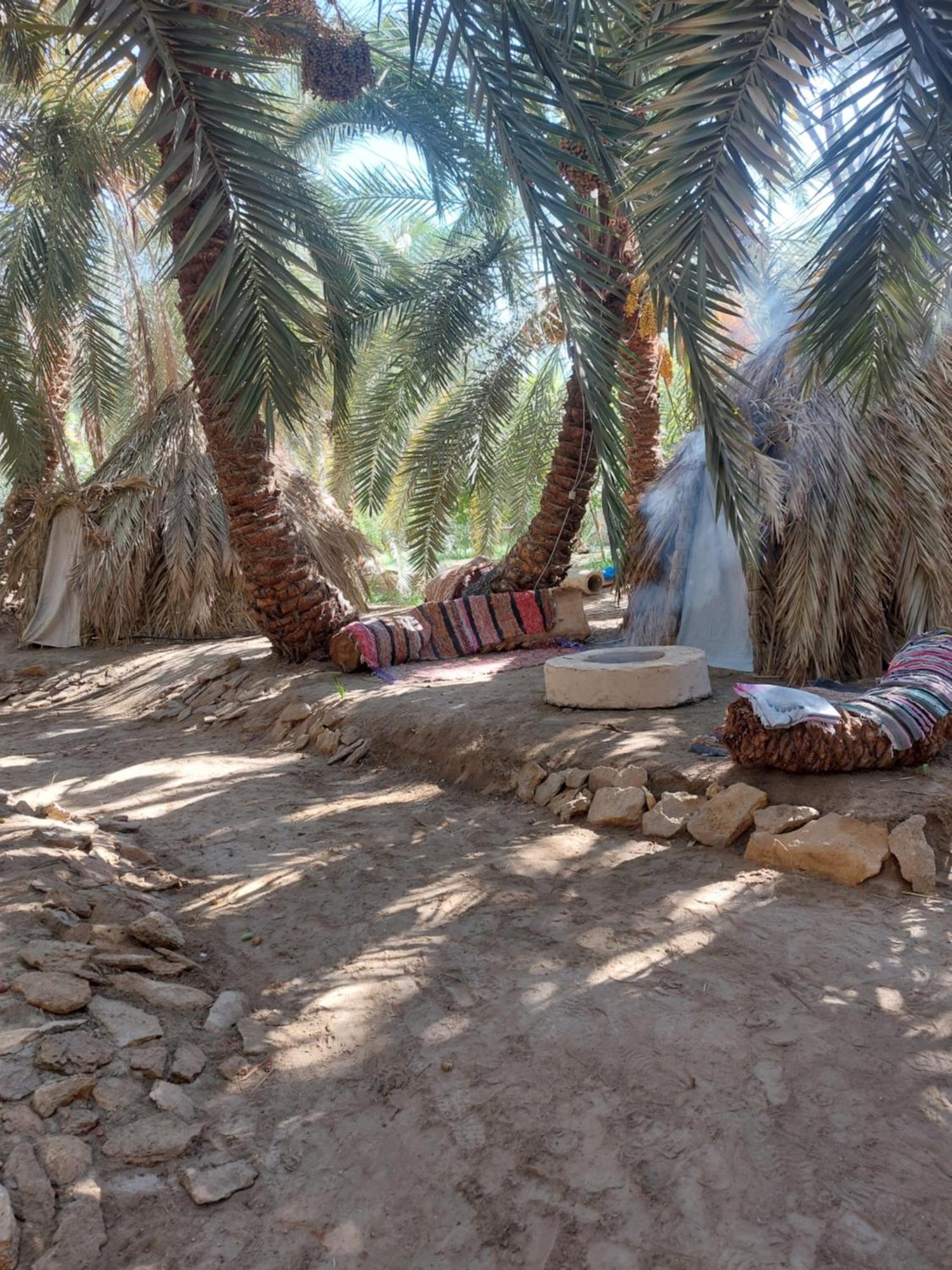 Forest Camp Siwa - كامب الغابة Siwa Oasis Exterior photo