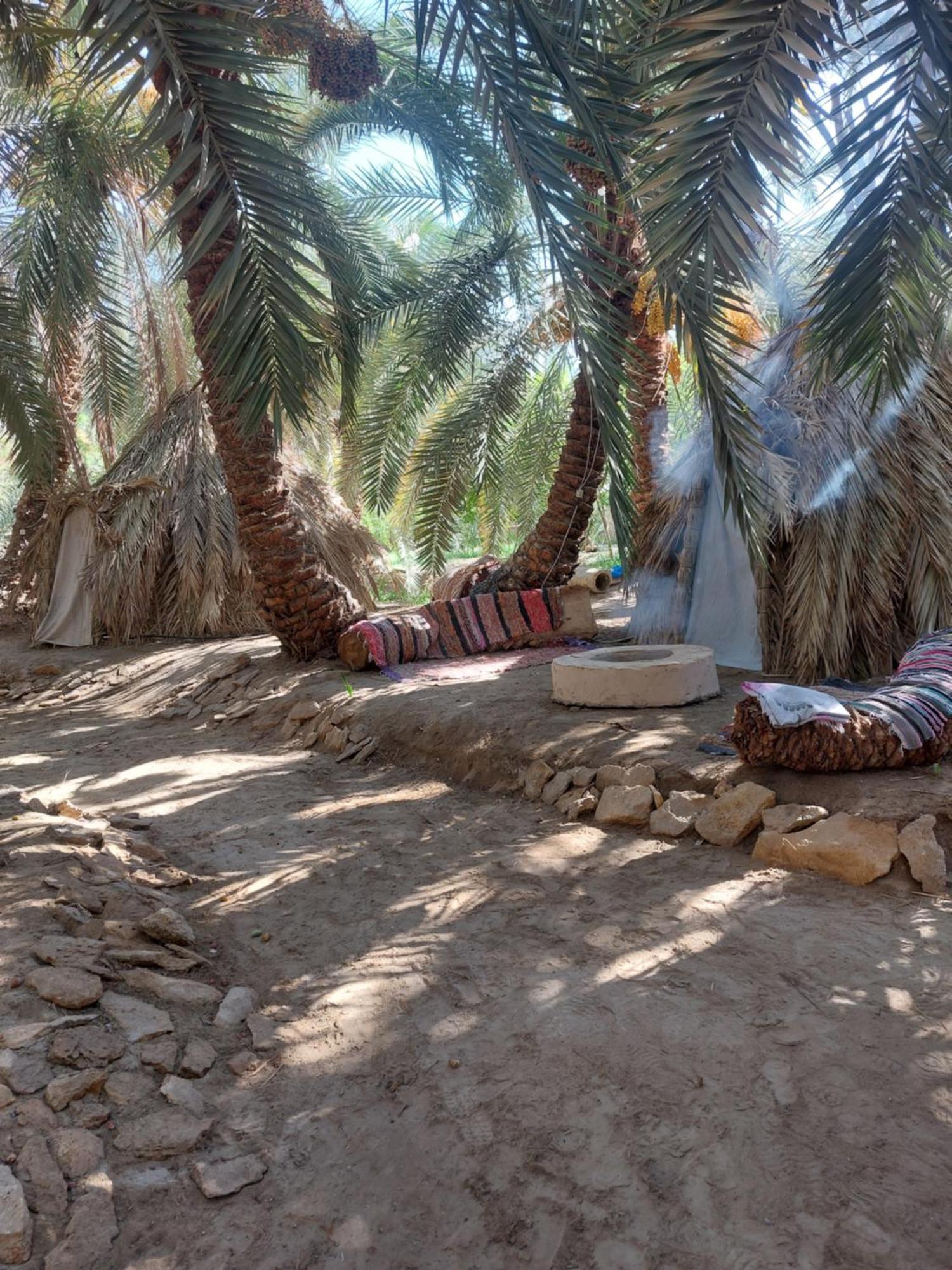 Forest Camp Siwa - كامب الغابة Siwa Oasis Exterior photo