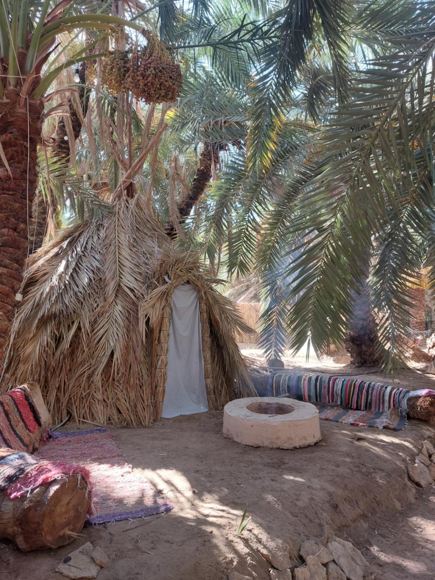 Forest Camp Siwa - كامب الغابة Siwa Oasis Exterior photo