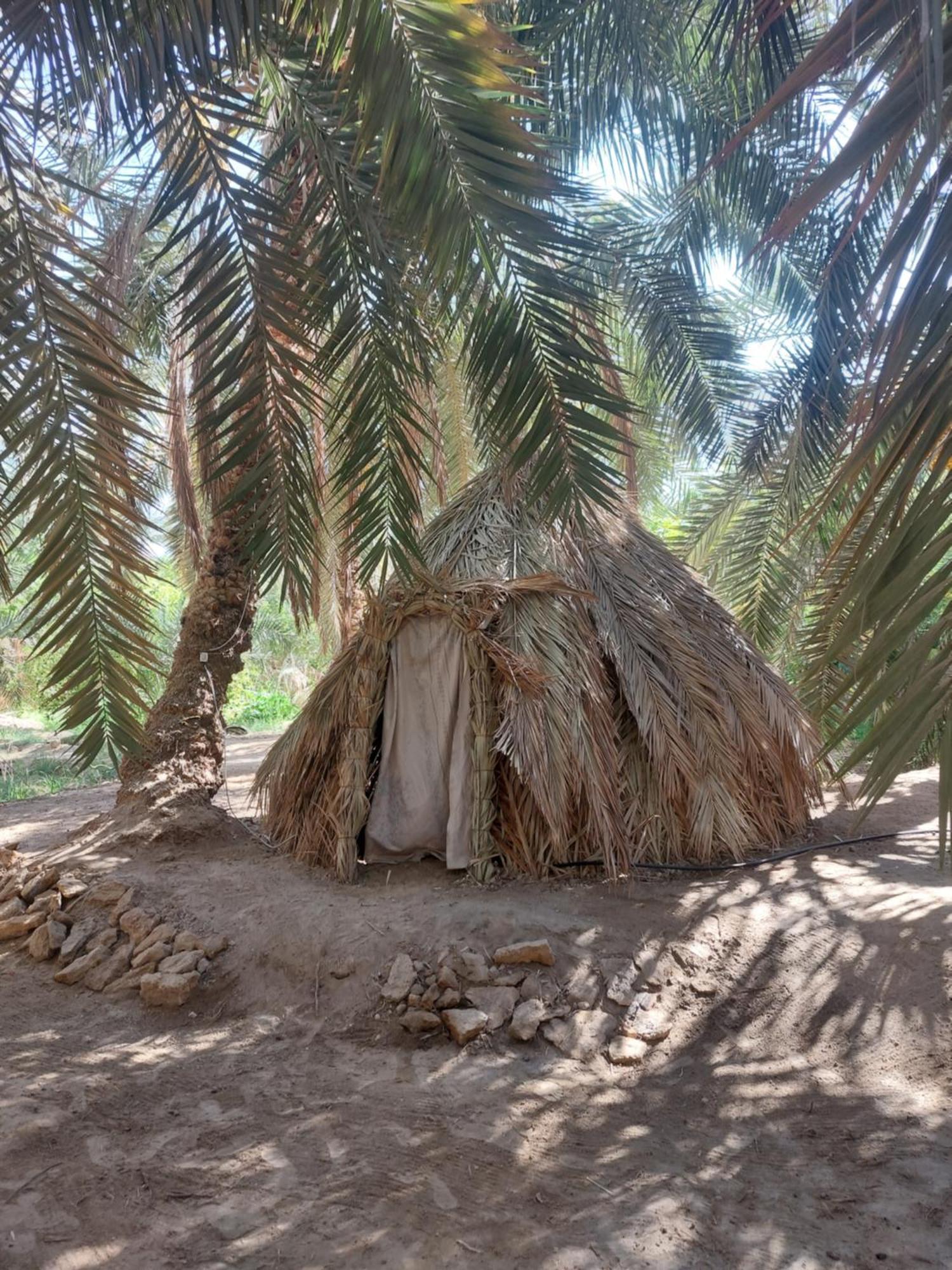 Forest Camp Siwa - كامب الغابة Siwa Oasis Exterior photo