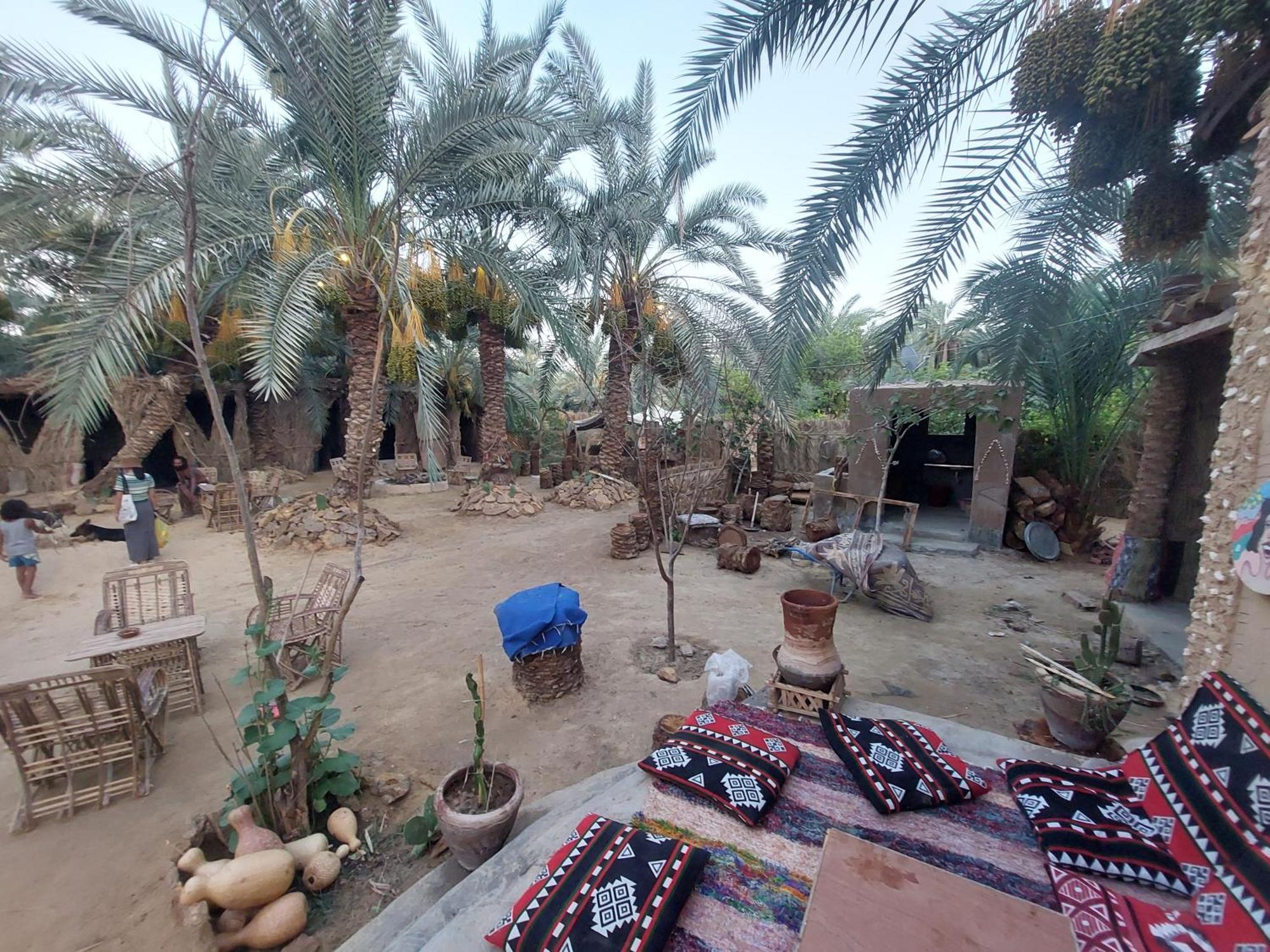 Forest Camp Siwa - كامب الغابة Siwa Oasis Exterior photo