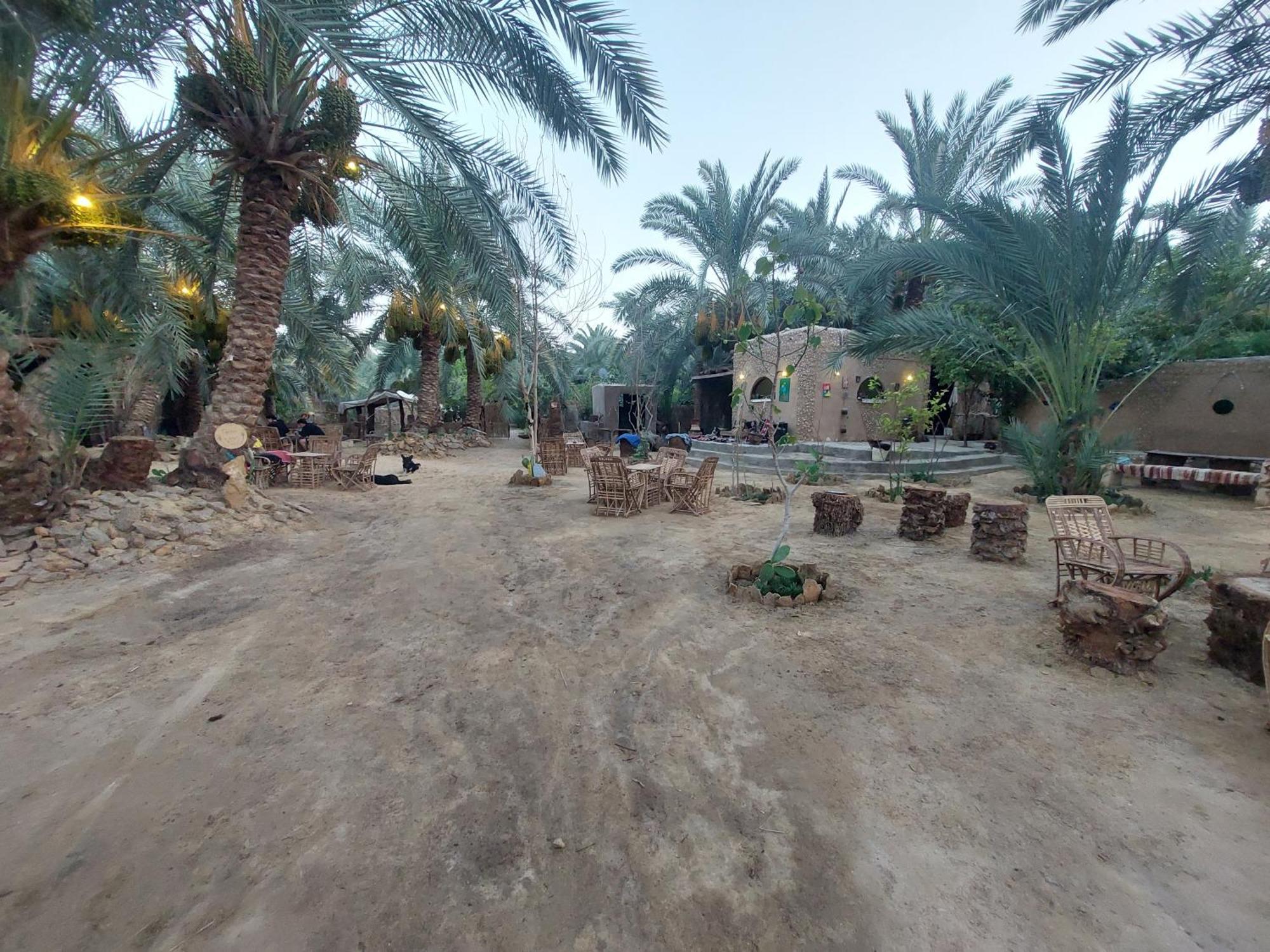 Forest Camp Siwa - كامب الغابة Siwa Oasis Exterior photo