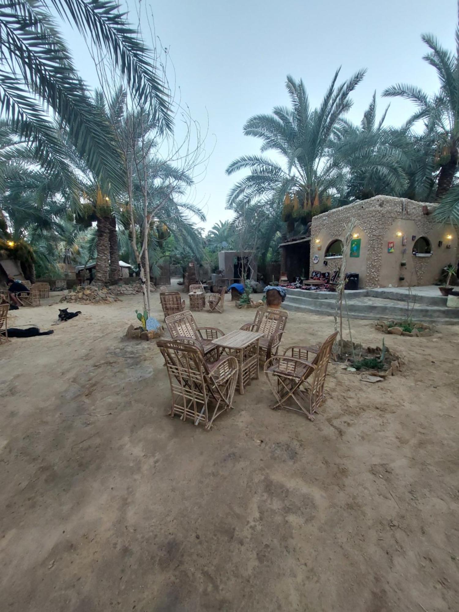 Forest Camp Siwa - كامب الغابة Siwa Oasis Exterior photo